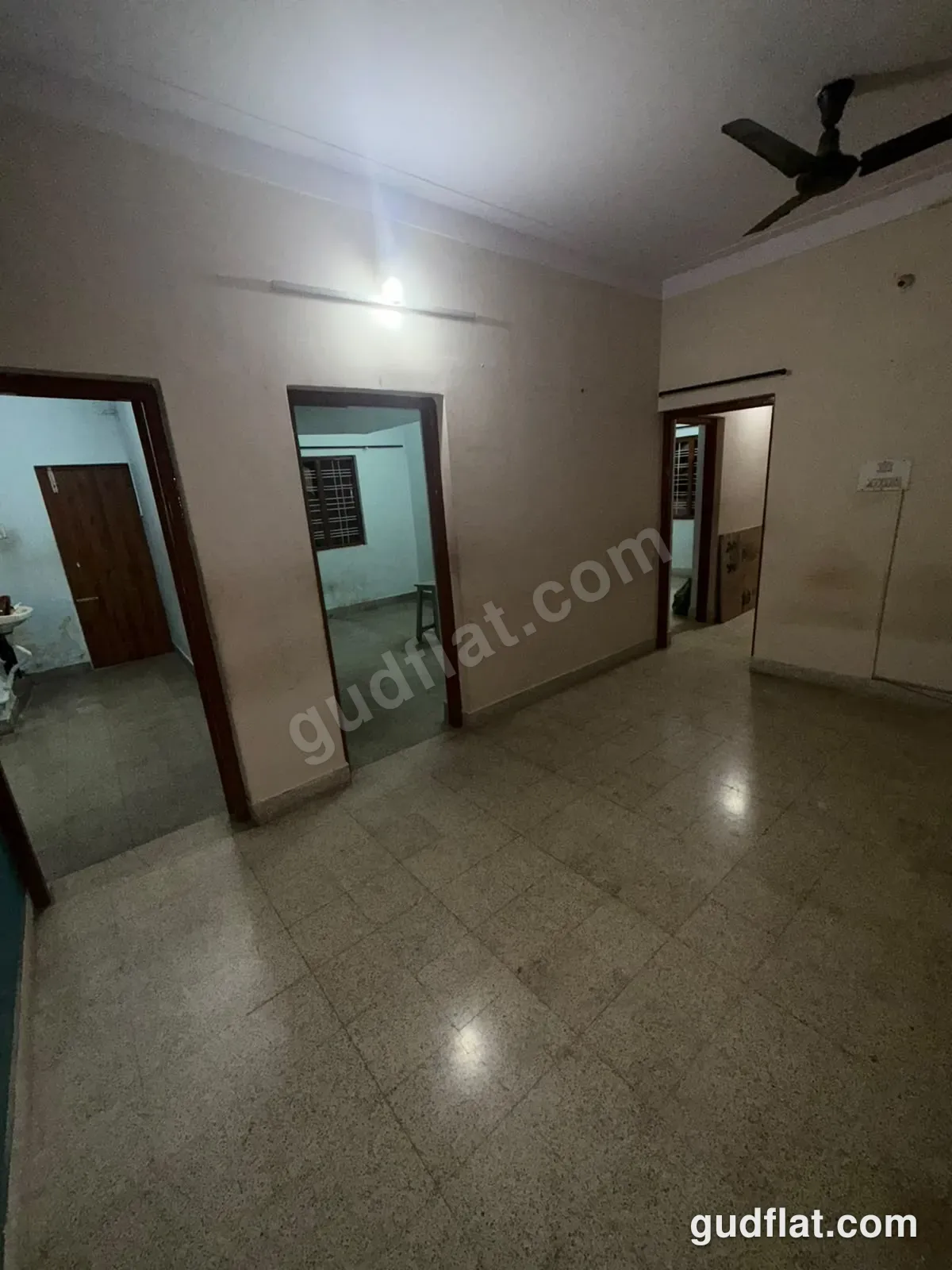 Hall / Living Room