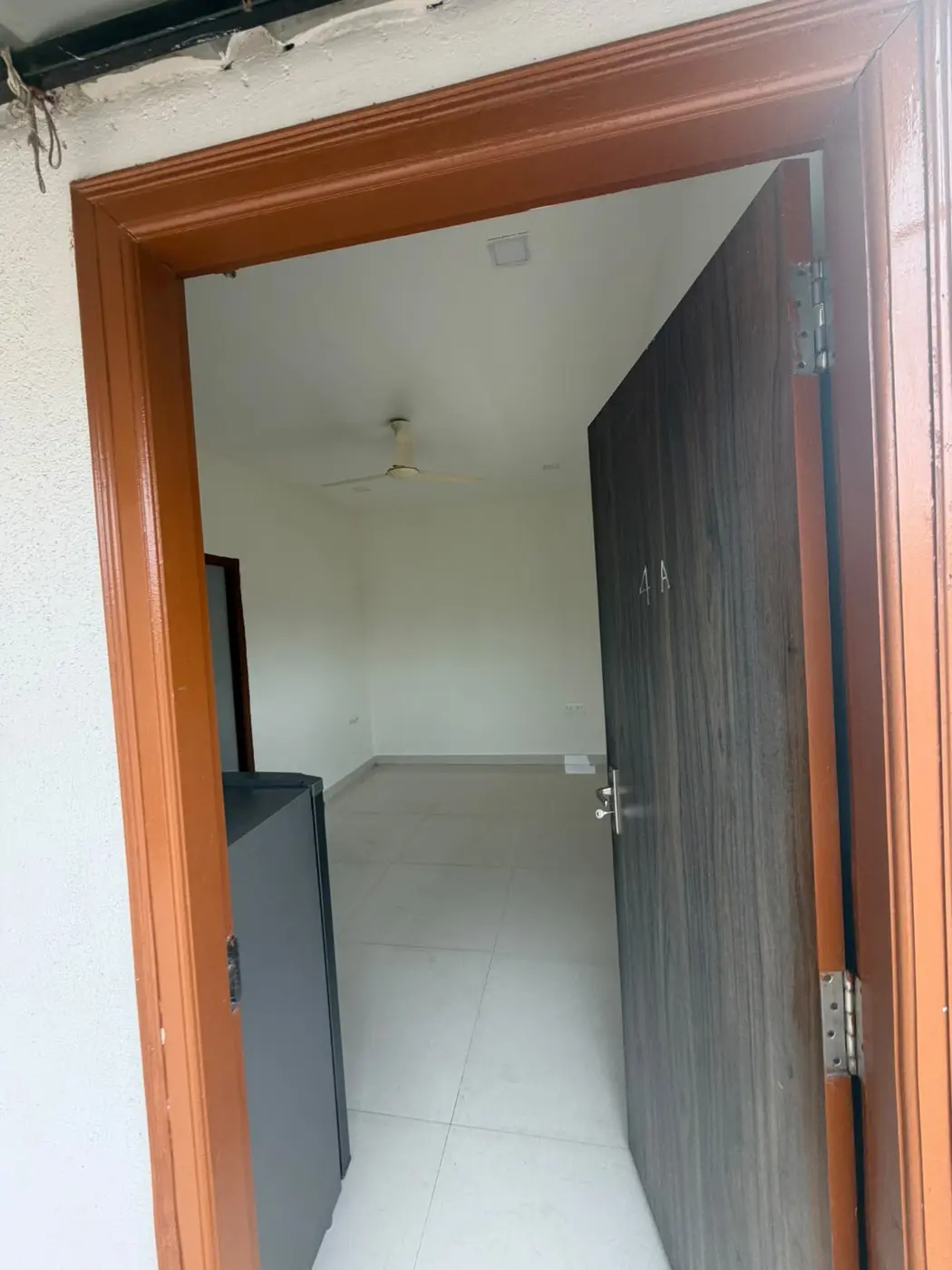 Hall / Living Room